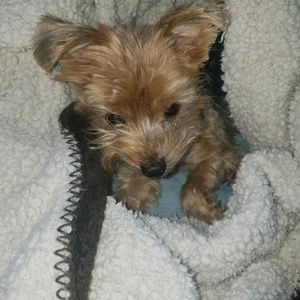 Meet your Posher, Nancy